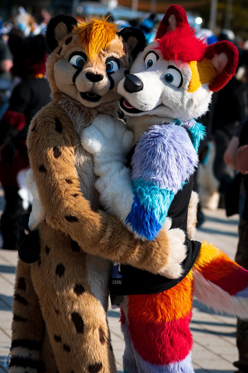 Who said cats and dogs CAN'T go together⁉️
We beg to differ! 
🐱: <a href="/littlecheetah_/">Litchee</a> 
📷: <a href="/RyuxWolf/">Ryuxwolf</a>