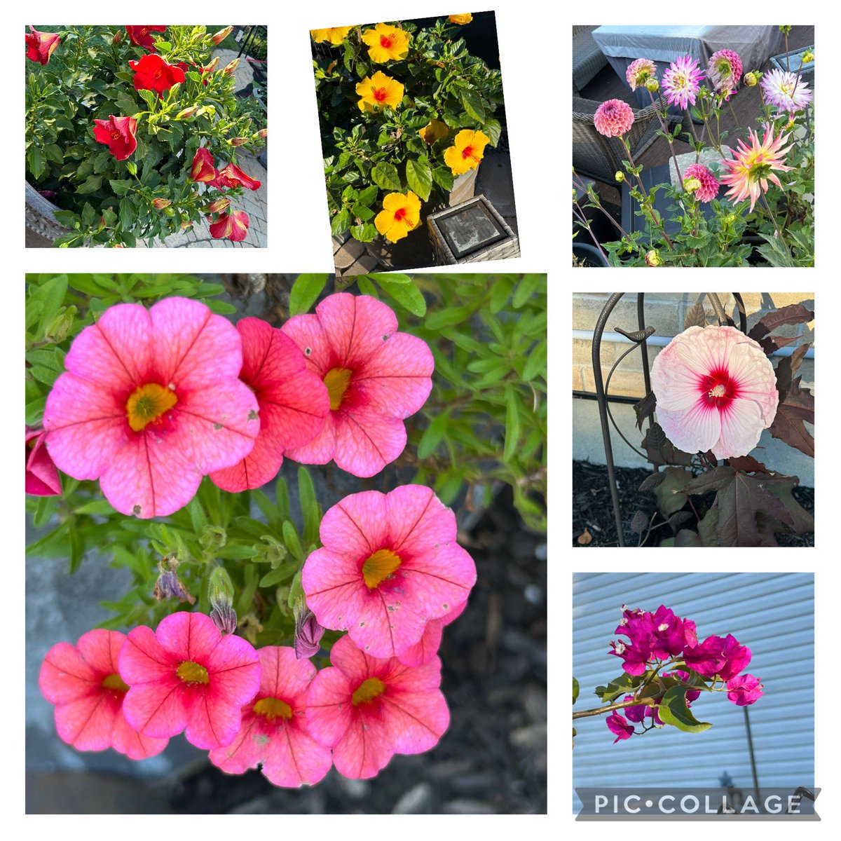 Jody Prevost (she/her) tweet media