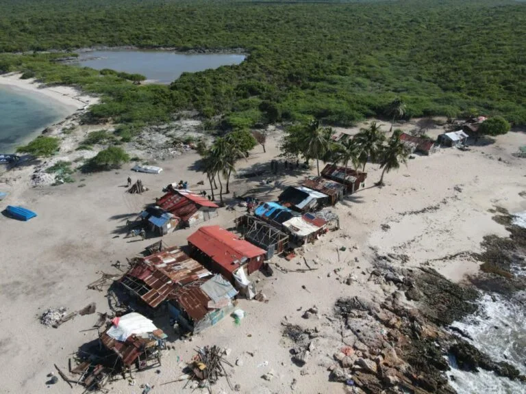 Destruyen casuchas levantadas en zonas protegidas y apresan a 35 haitianos; tres son menores dlvr.it/TDpvrQ #NDigital