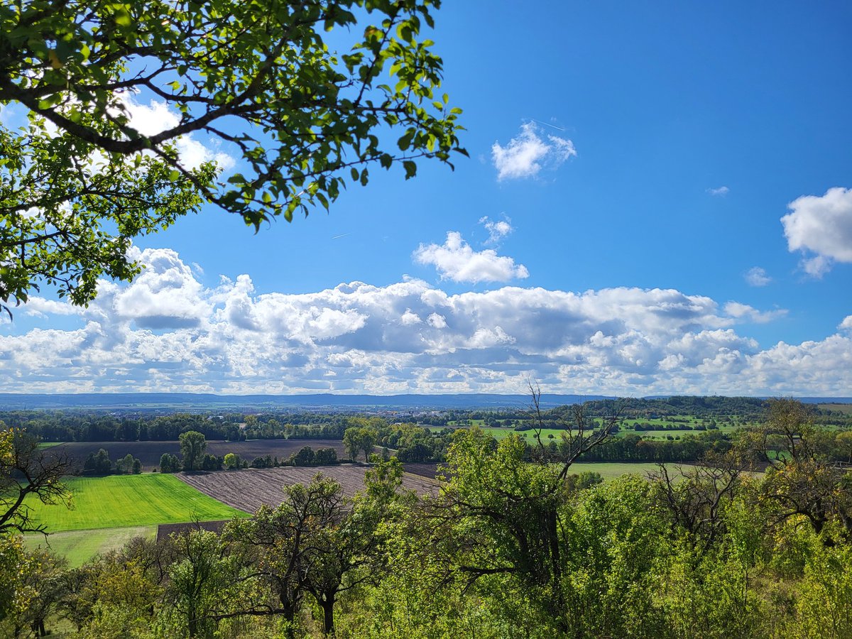lubuwetter's tweet photo. Kleiner Ausflug nach #Franken am Wochenende. Schönes Herbstwetter heute in Bad #Windsheim am Rande des Steigerwalds https://t.co/2ZT0u4fBIo