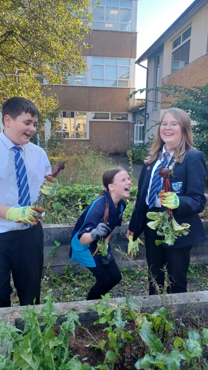 Eco Schools YGTCS (@ecoschoolstcs) on Twitter photo Last bit of produce from the season in the <a href="/YGTredegarCS/">Ysgol Gyfun Tredegar</a> garden. Plenty to do over the forthcoming weeks 🪴 <a href="/OutdoorsYGTCS/">Outdoor Learning YGTCS</a> <a href="/AndreaBowd/">Andrea Bowd</a> Last bit of produce from the season in the <a href="/YGTredegarCS/">Ysgol Gyfun Tredegar</a> garden. Plenty to do over the forthcoming weeks 🪴 <a href="/OutdoorsYGTCS/">Outdoor Learning YGTCS</a> <a href="/AndreaBowd/">Andrea Bowd</a>
