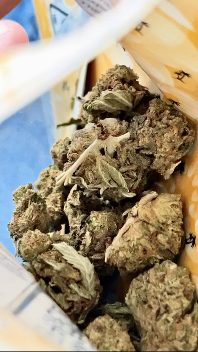 Dxffyyy™️ tweet media