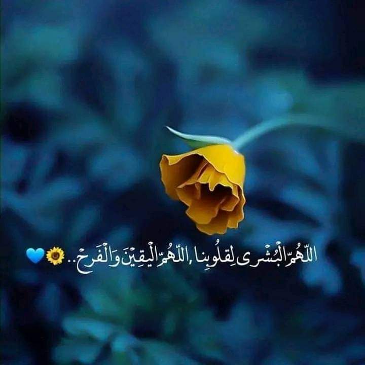 اللهُم الطمأنينة••
اللهُم البشرى••
اللهُم الفرحة الغامرة•
والرّضا التام• 
واليقين الدائم•• 
اللهُم أطيب الأشياء•
وأثمن اللحظات وڪلّ الأمل 🌼💙