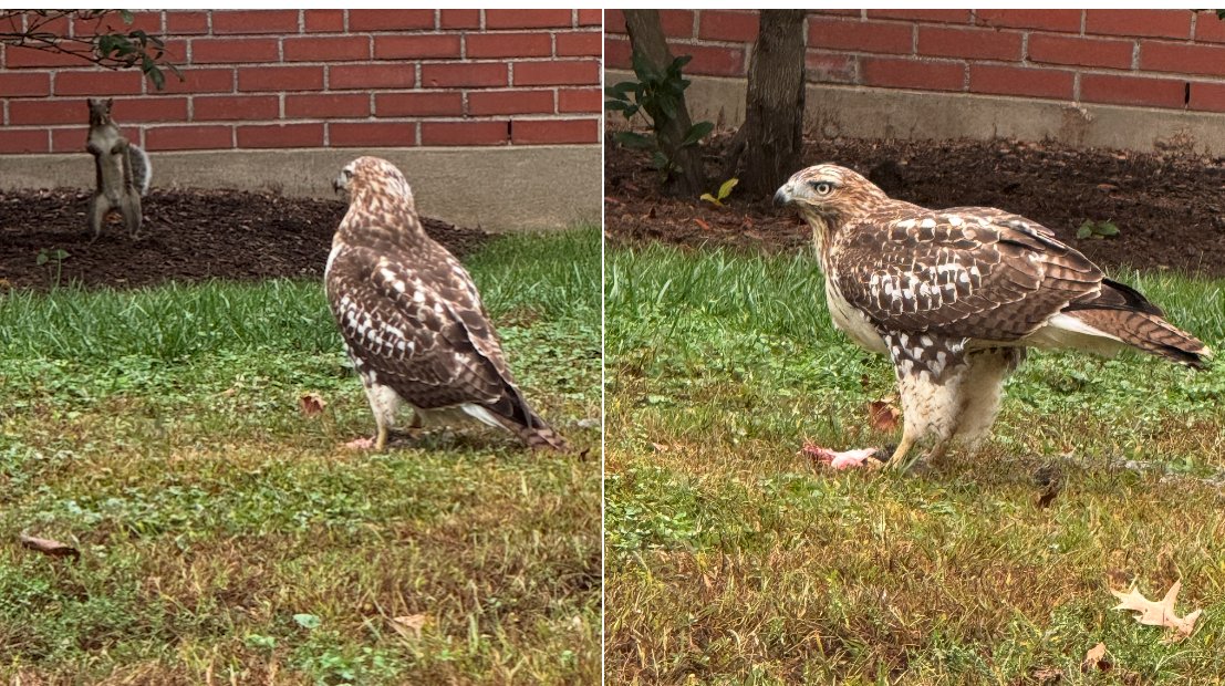 Laxidaisy tweet media