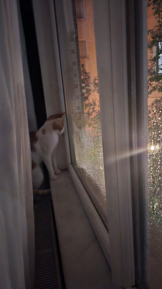 Ana oğul yağmur izlemeye bayılıyoruz çünkü 🐈💦