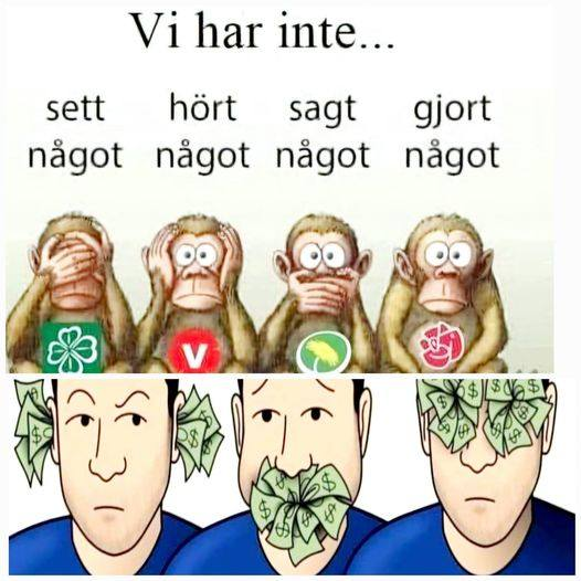 SDSTEFFE tweet media