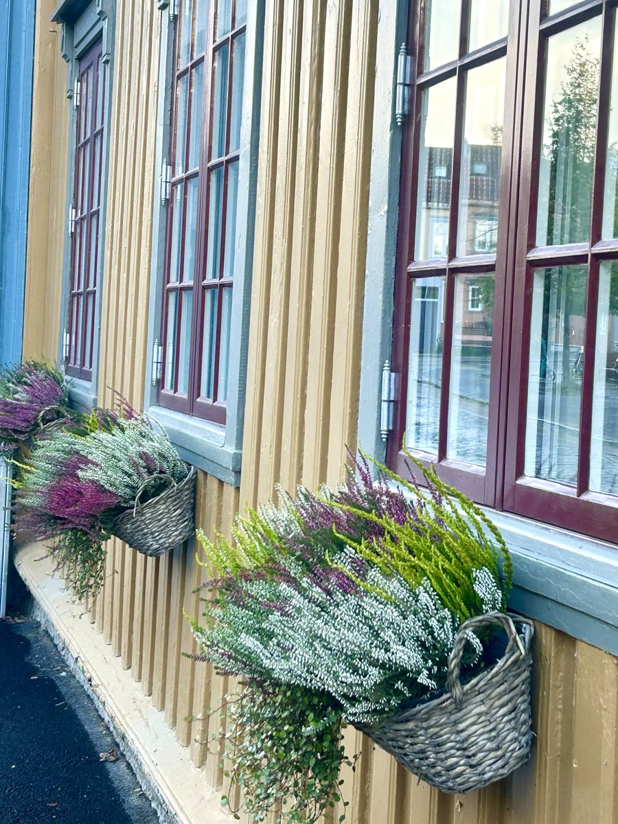 SaraMacefield's tweet photo. Getting a taste of the #Norwegian city of #Trondheim before joining @Hurtigruten ship #RichardWith to sail to the Lofoten Islands to try its Coastal Kitchen culinary specialities. Yummy! #foodiecruise @visitnorway https://t.co/eca6ZftF5O