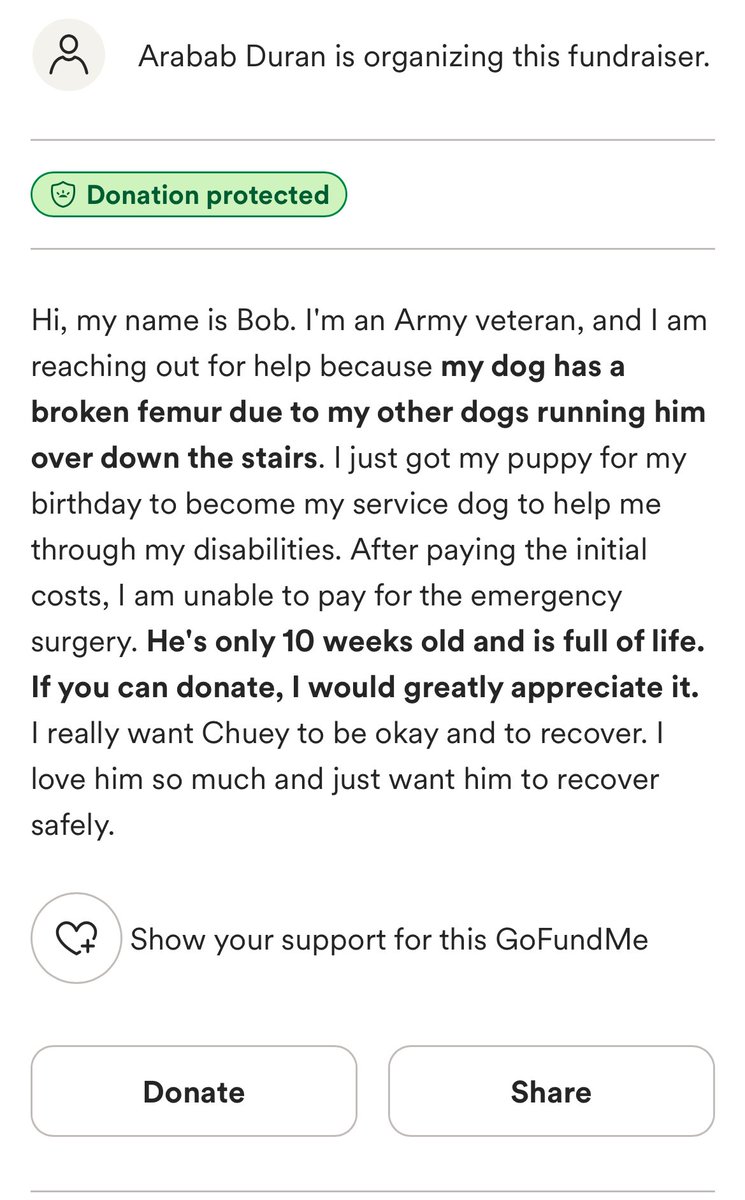 ✨𝕽𝔦𝔞𝔥 𝕯𝔢𝔃𝕭𝔞𝔥 ✨ tweet media