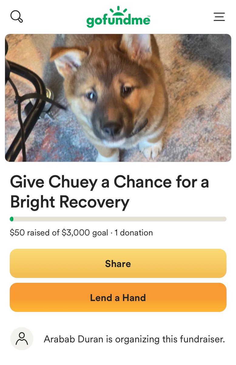 ✨𝕽𝔦𝔞𝔥 𝕯𝔢𝔃𝕭𝔞𝔥 ✨ tweet media