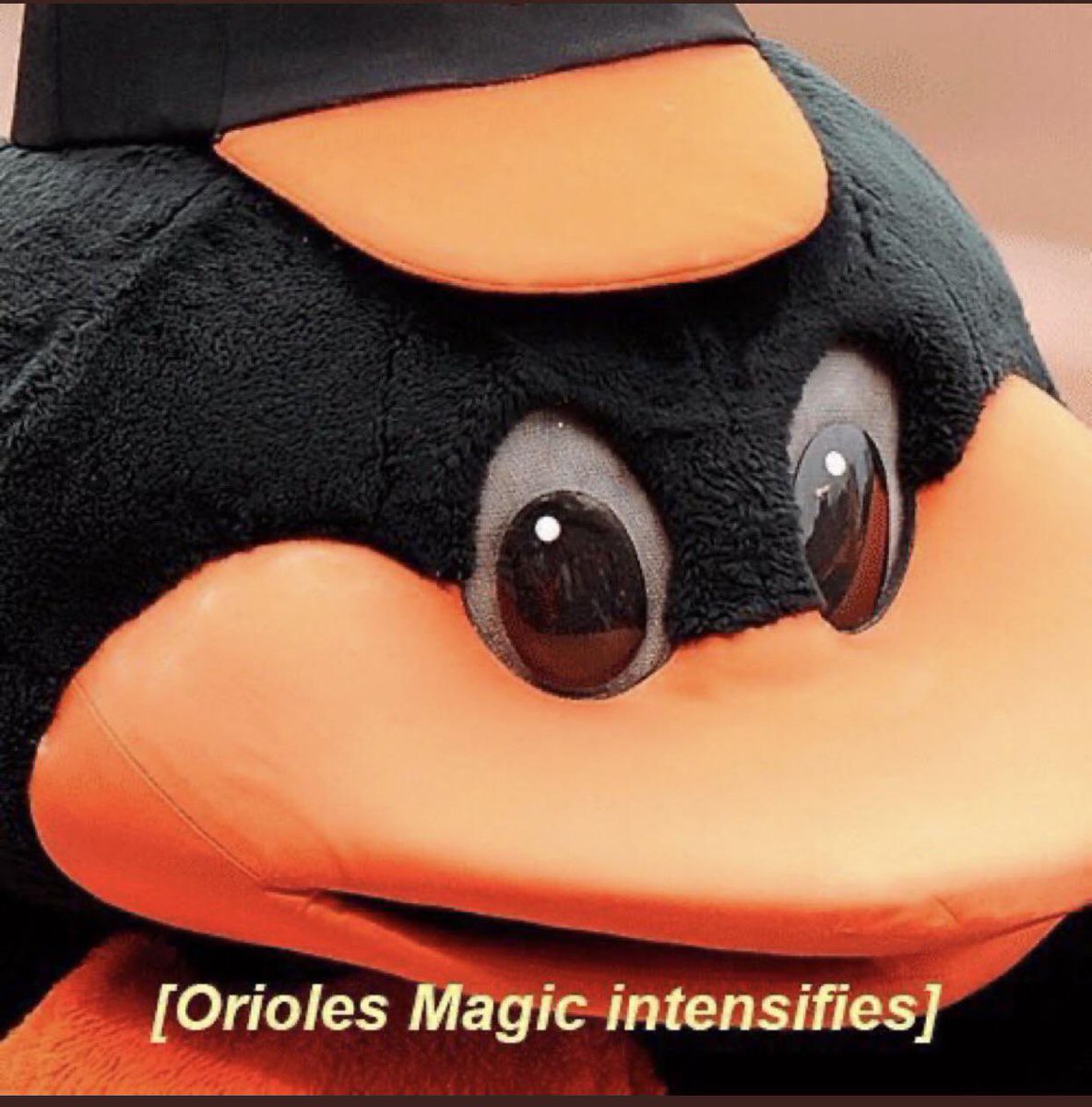 Royals it is. 

See you Tuesday folks.

👋