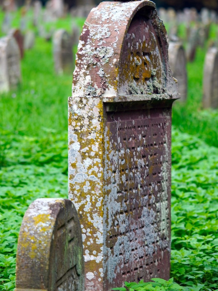 Fall is the best time to explore #ElmwoodCemetery where a blend of spooky fun and rich storytelling makes it a must-visit! Dive into the outdoor movie screenings and walking tours that bring the cemetery’s #history and residents to life at bit.ly/4etkKtz. #memphis