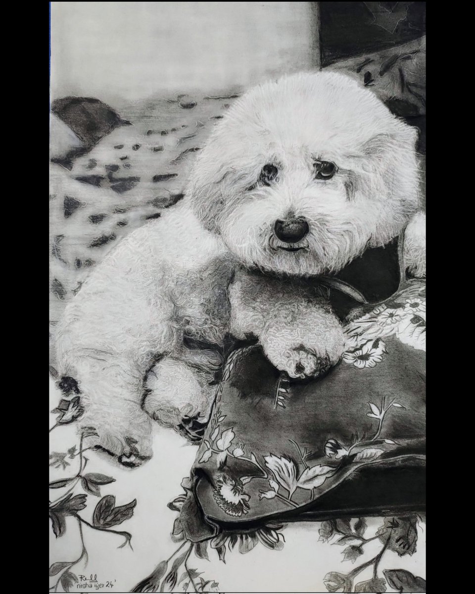 KULFI -A Divine Inversion 
My recent commissioned  pencil sketch.
Pencil on Strathmore
Lot of people would only see him as a(Dog)but they saw him as an Embodiment of(God)
#dogs #AnimalsLover #puppylove #petlovers #PETA #Animal #artpiece #handdrawn #Sketching #handmade #art #dog