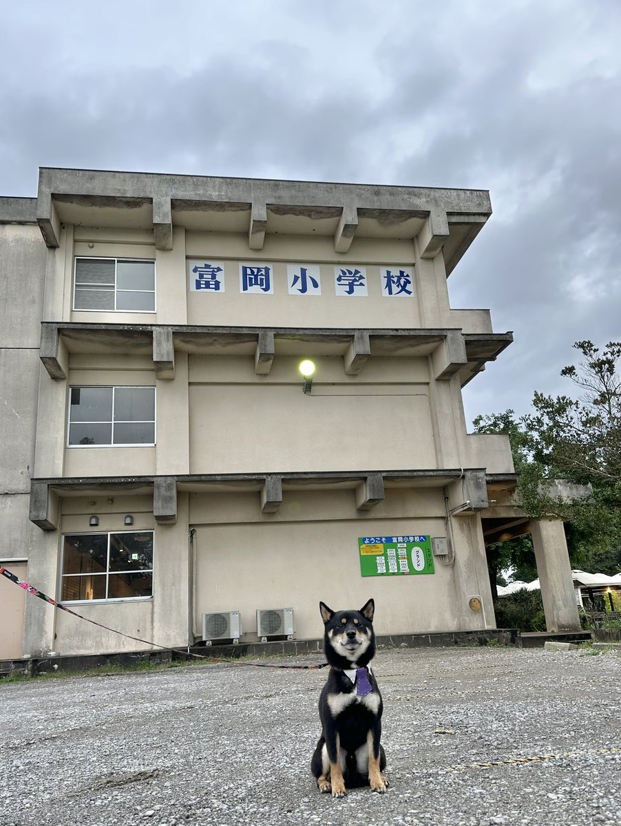 Gin_kuroishiba's tweet photo. ずーっと来てみたかった
ETOWAさん🏫✨
学校に泊まれるんだよー🐶🐾✨
#柴犬
#黒柴
#本日のお宿
#ETOWA
#小学校に泊まれる https://t.co/44O286CO2b