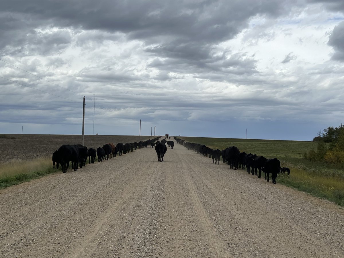 Rod Turner tweet media