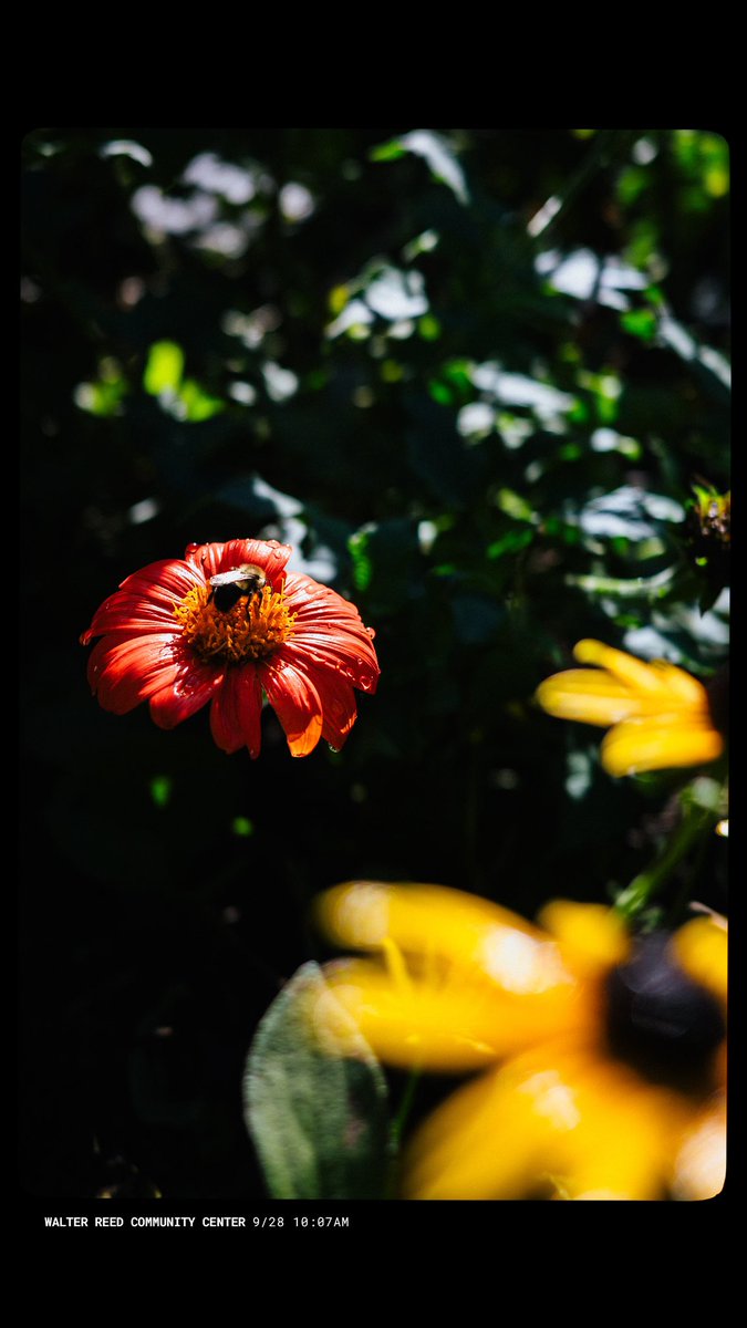 Cycleboredom tweet media