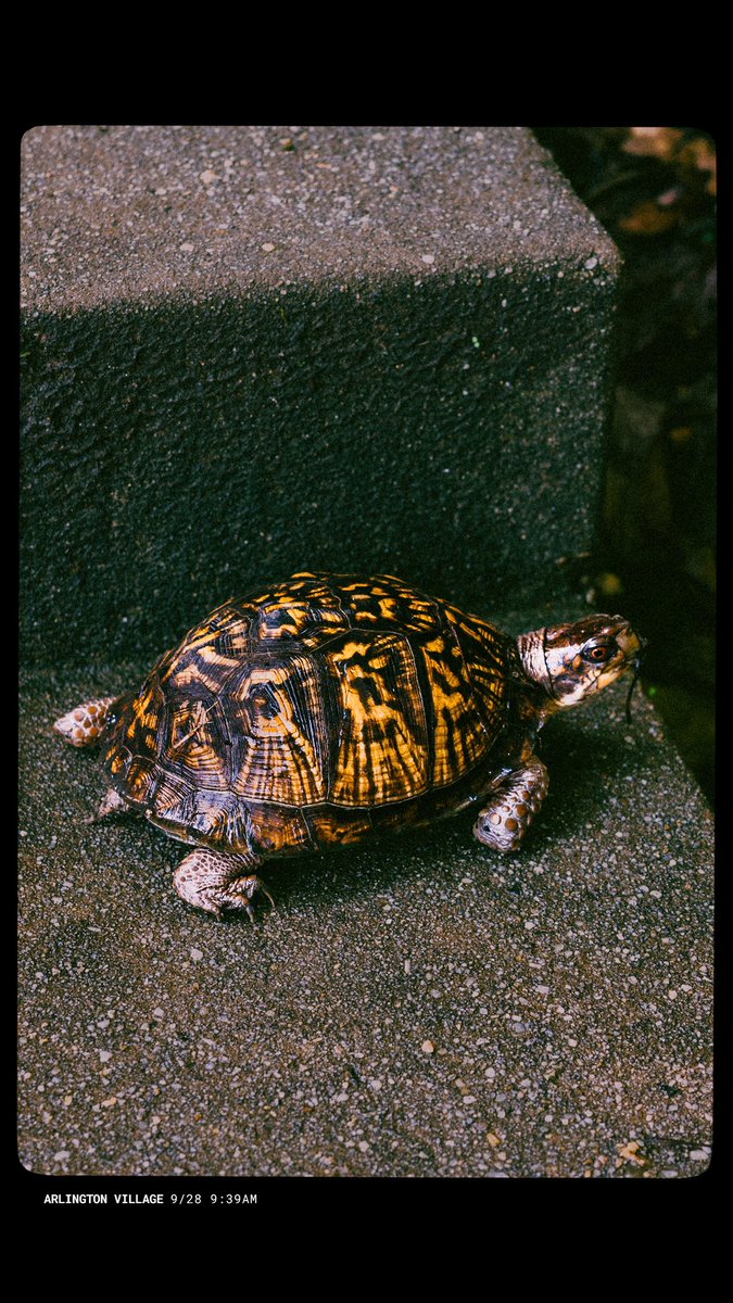 Cycleboredom tweet media