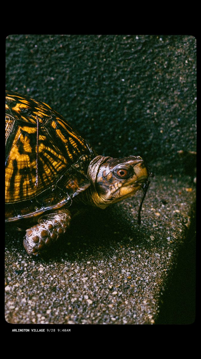 Cycleboredom tweet media