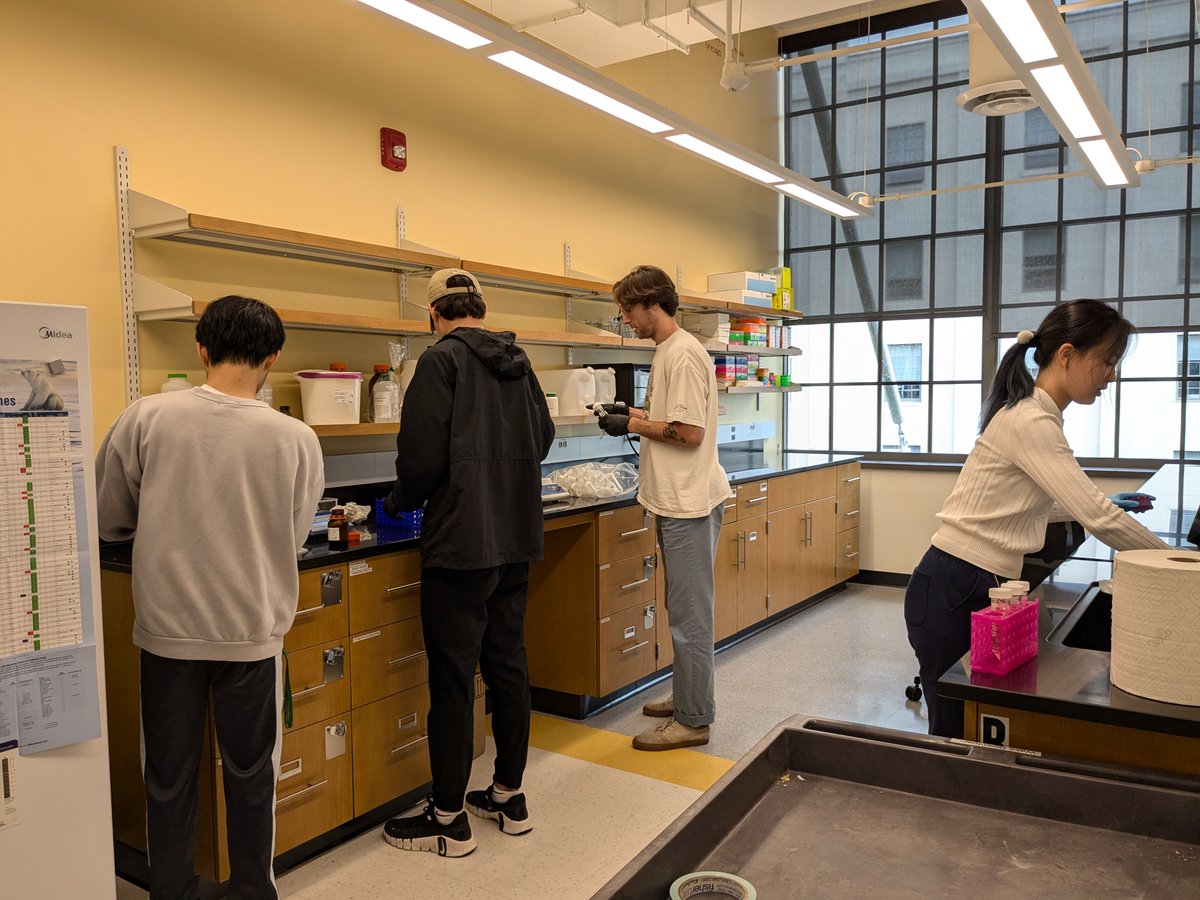 The Albanese Lab is officially operational!  Undergraduates Sam, Miko, Susy, and Wonhee preparing to express their first proteins 🧑‍🔬👩‍🔬