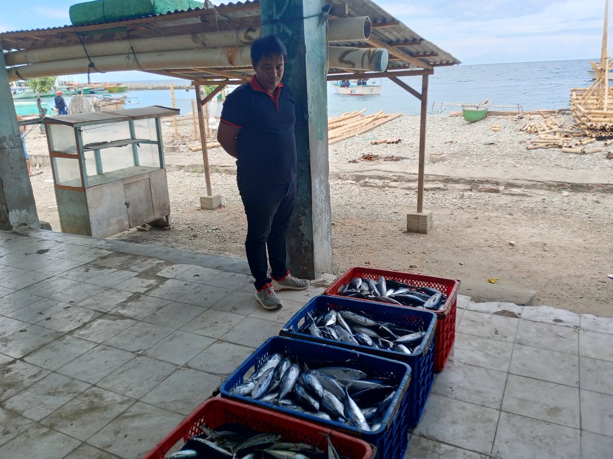 Hanrilalimbat's tweet photo. Rabu(11/09/2024),Hanri Piet Lalimbat,Luhkan Kab.Bone Bolango,melaporkan prdksi,KUB Berjuang, Desa Tamboo. API Purse seine,hasil tngkapan ikan Cakalang 100kg dan  layang 100kg harga jual Rp.18.000/Kg
#SatminkalBitung
#Luhlapor
@puslatluhkp
@djpt_kkp
@bpppbitung https://t.co/MS12tTAUVl