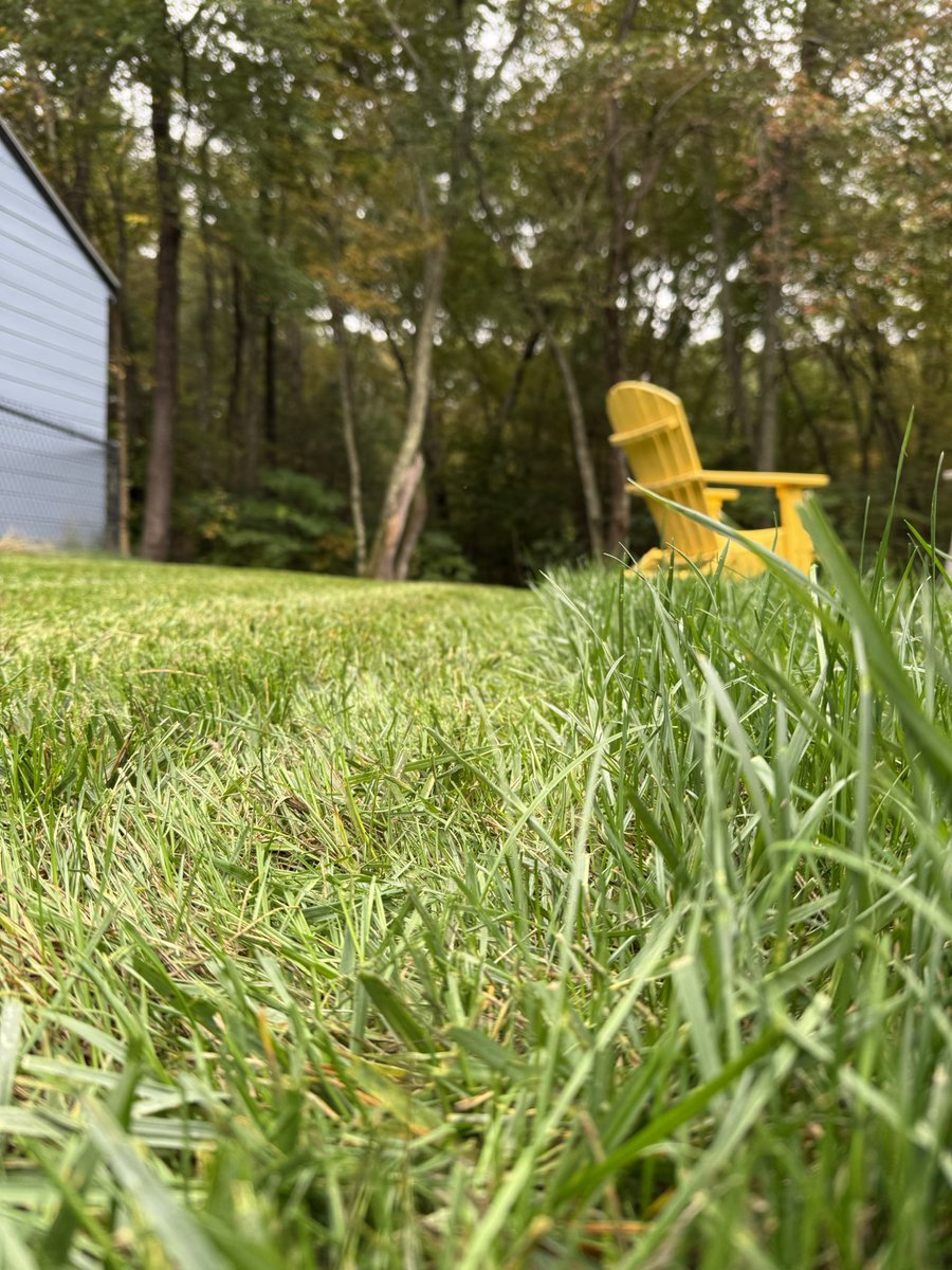 TheBrianONeill's tweet photo. Lawn never got the memo about the month long rain-less spell. It was this long when I mowed last week, and again today. #lawnporn #stopgrowingnow #highwatertable @BHLevesque @jaygardner549 @jreineron7 @ericfisher https://t.co/qQzrID2ceS