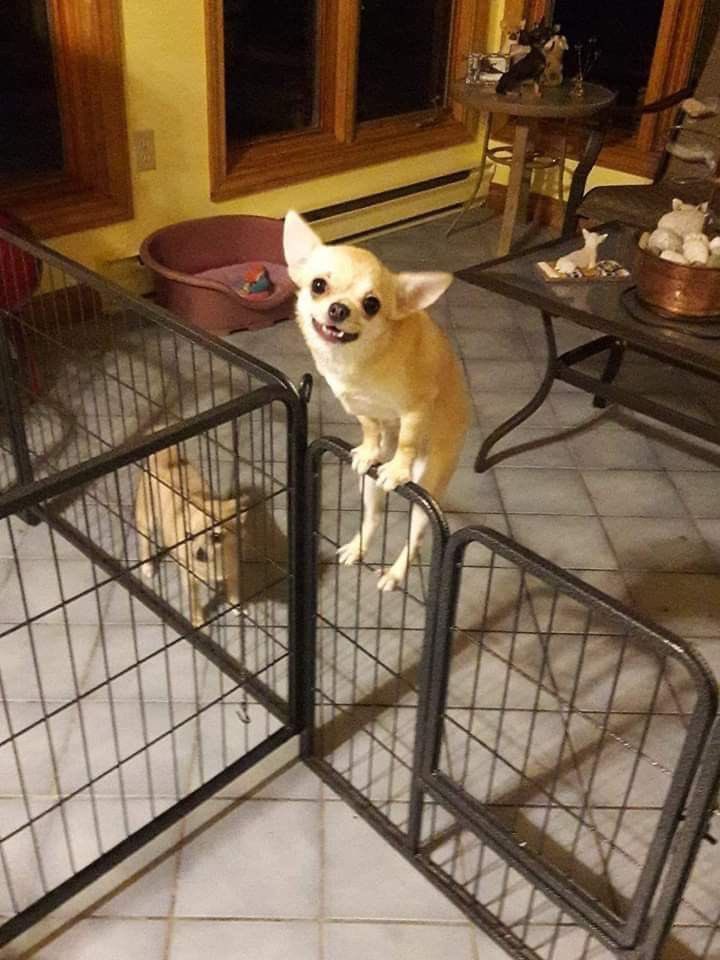 twaniimals's tweet photo. ㅤ https://t.co/BgwNJdAgxI