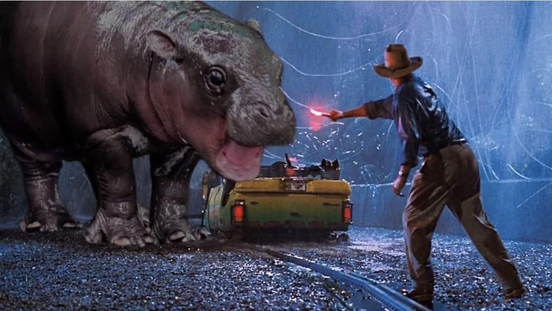 RALPHtheREX™ tweet media