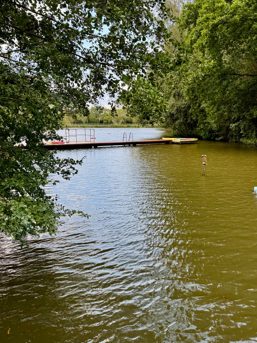 After a mad busy two weeks moving home. Managed a late swim today. 5pm. Just me and the ducks in the water. Felt fit after lugging boxes and furniture for far too long.