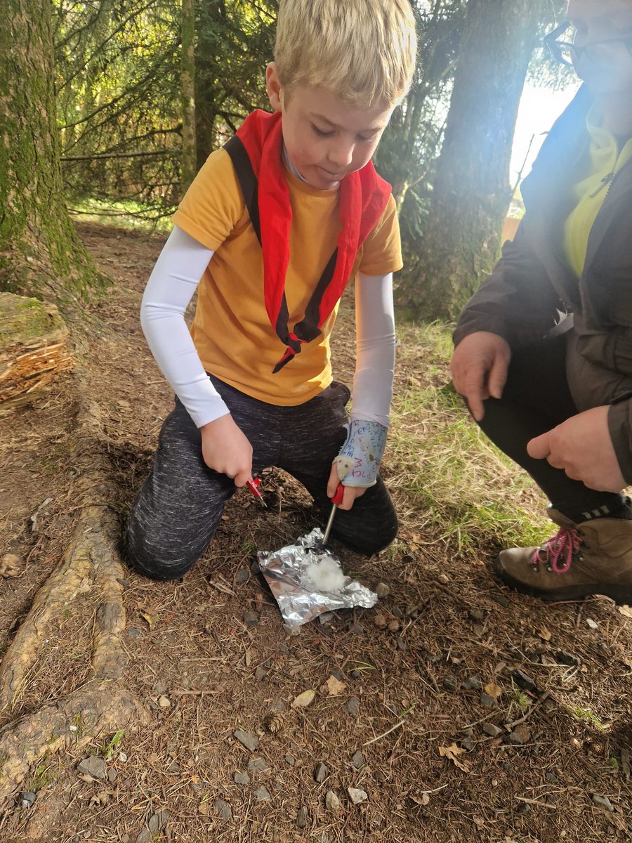 John Allison tweet media