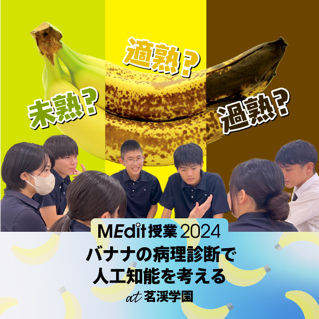 meditlab's tweet photo. バナナの病理診断で人工知能を考える「茗渓学園MEdit授業」 | MEdit Lab - https://t.co/31oAXRR6Pj #医学 #病理診断 #高大連携 #出前授業 #茗渓学園 #人工知能 #AI #記号接地問題 #chatGPT #リベラルアーツとしての医学 https://t.co/pJGo1DNJcG
