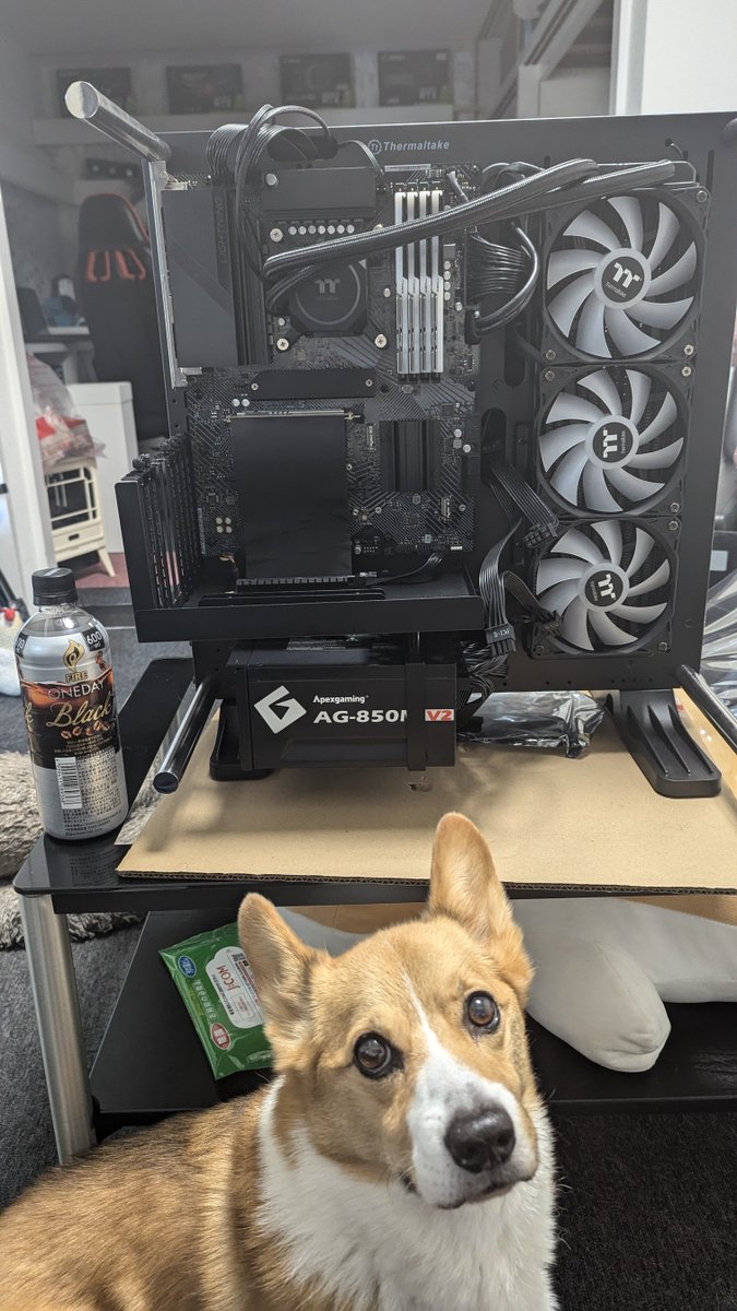 FutureGadget430's tweet photo. グラボは3080を組み込む予定でしたが、相性の問題なのか不具合なのかわかりませんが起動せず‥
サーマルテイクのオープンフレーム、クラボ以外は悪戦苦闘しましたが組み終えました。
#ゲーミングPC #自作PC #Thermaltake #COREP3 #コーギー #コーギーがいる暮らし #Corgi #코기 #CorgiCrew #コギスタグラム #corgistagram #dogstagram #犬のいる幸せ #犬のいる暮らし #ウェルシュ #ペンブローク #保護犬 #犬