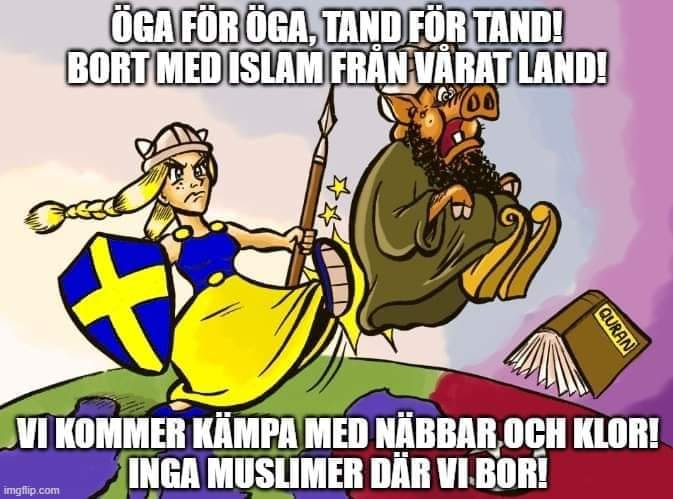 SDSTEFFE tweet media