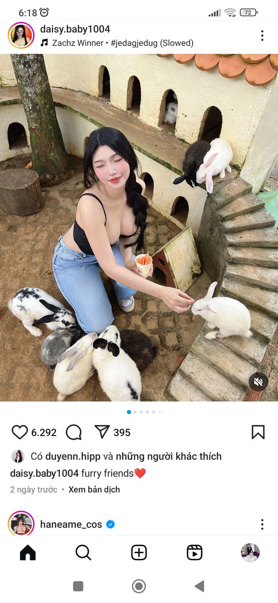 Naga 🪸 tweet media