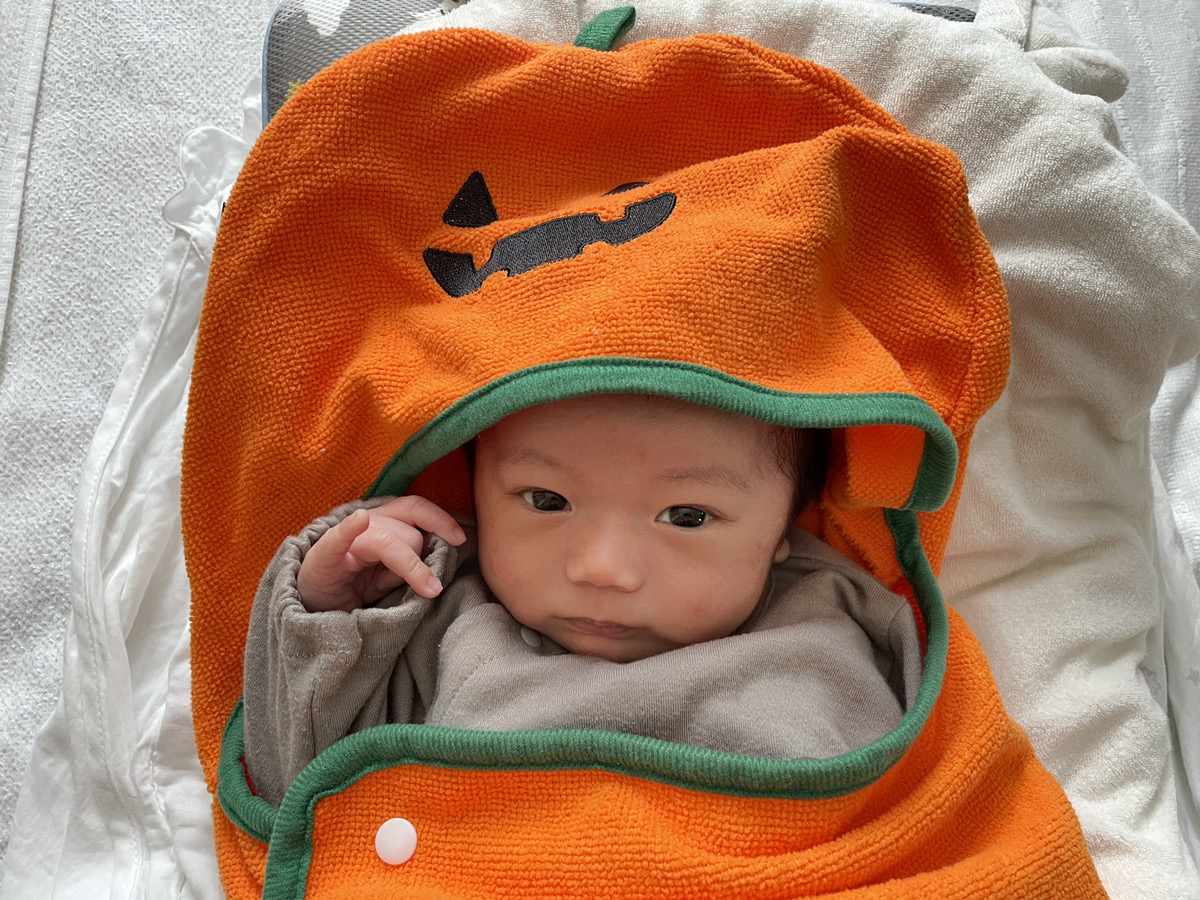 yoppymodel's tweet photo. 鬼可愛い子どもがいることでお馴染みの僕です。
これは声を大にして言いたい事なのですが、男性もとにかく育休を取ってください！

その理由について殴り書きます！

【男性の育休取得をガシガシ推進していかなければいけない理由】

 1.出産直後のワンオペ育児はほぼ虐待

出産直後の母体って「交通事故に遭って全治2か月の大けがを負った状態」と同じくらいのダメージを受けていると言われてるそうです。ちなみにこれ、僕が勝手に言うてるんじゃなくて産婦人科の先生とかが言ってますからね。

さあここで考えてみましょう。
貴方が横断歩道を横断中、ヨボヨボのじいさんが運転するプリウスに思いっきり跳ねられて病院に担ぎ込まれたとするじゃないですか。

ふと目が覚めたら首も腰もあちこち痛いわでヘロヘロの状態なのに、巡回してきた医者に「いやー、貴方は全治2か月の重傷です。じゃあこれ、よろしくね」って産まれたばかりの赤子をポンッて手渡されたら「えーーーっ！！！いま！？」「いまそれやるの！」ってなるでしょ！？「僕、交通事故の直後なんですけど！？」って。

更に言うと、帝王切開で出産したとしたら、お腹をわーっと切っちゃうわけじゃないですか。
言うたら切腹ですよ切腹。

最近は話題のSHOGUNを見てましてね。
SHOGUNにもやっぱり切腹シーンが出て来るんですけれども、家臣がお腹をかっさばいた時点で止めに入ってなんとか縫合して命を取り留めたとしてね。

その直後に「はいこれ」って赤子を渡したら「えっ、拙者！？」「拙者の役目でござるか！？」ってなるじゃないですか。どう考えても無理ゲーですよ。

そもそも、母乳による授乳以外、オムツ替えも沐浴も寝かしつけも、赤ん坊の世話なんて全部男でも出来るんですよ。

なので新生児期はむしろ男親が家事も育児も「全部やる」くらいの勢いで挑むのが正しいのです。

でも流石に、日中フルタイムで働きながら「全部やる」って不可能じゃないですか。

だからこそ育休を取らなければいけないのである！

もちろん、「どうしても育休が取れなくて……」という人も居るかと思うのですが、そういう人は（義）両親の助太刀をお願いするなり、産後ケア施設をフル活用するなり、シッターさんを呼びまくるなりで何かしらの手段を用意しておかないとマジヤバ案件です本当に。

でも、「何かの手を借りる事にしたとしても、自分自身もやってなきゃダメだよ」という事についても理由を書いておきます。

2.「運転技術」を身に着ける時間でもある

実は「育児」ってひとつひとつのタスクは正直たいしたことないんですよ。
オムツ替えも沐浴も抱っこもねんねも、まあひとつひとつは全然大したことないんです。
ピーク時の居酒屋のほうがよっぽど大変ですからね。

僕が大学生の頃、大阪の鶴橋というあんまりガラの良くないエリアのカラオケ屋でバイトしていたのですが、ヤカラに絡まれたり酔客に蹴られたりでロクな記憶がないですもん。

一度ラストオーダー取りに部屋のドア開けたらおっさんがおっさんを手〇キしてる場面に遭遇して腰抜かすかと思った。

「うわー！」って言いながらドア閉めましたからね。あっちからしても「うわー！」だろうけど。
あんなのに比べたら育児なんてぜんぜん楽勝。

しかしながら「ひとつひとつはたいしたことないけど、ずっと気を張ってなければいけない」というのはなかなか大変な作業でもありまして、そういう意味では車の運転に似ているなと思っています。人の命を預かってる、という意味でも似てる。

車の運転もまあ2時間以内くらいならたいしたことありませんが、12時間ぶっ続けの運転となると流石に疲れてくるじゃないですか。

そんでこっちが12時間ぶっ続けで運転してる時に横から手が伸びてきて「雨降ってきたからワイパーかけてあげるね～」ってウインウインやられて「よし、運転を手伝った！」みたいな顔されたらそりゃまあ腹立つじゃないですか。むしろ「邪魔すんなし！」ってなるじゃないですか。

なので育児ママアカウントが「オムツを替えたくらいでイクメンづらすんな！」って怒ってるのもよくわかります。
 
つまり運転と同じく、育児で大事なのは細かいタスクを「手伝う」「処理する」のではなく、「交代しながらお互い休憩を取ること」だと思っております。
 
細切れのタスクを消化することではなく、「今から〇時間、僕がまるっと面倒見てるから昼寝でも遊びでも好きにしておいで」って時間を切って休憩に送り出す事ではないかと！

でも、長距離運転の際に、相方が運転出来なかったらいつまで経っても交代出来ないし、休憩も出来ないじゃないですか。これは恐ろしいことですよ。

だから運転技術を身に着けるためにも、子どもが小さい内から育児参加しておかないといけないんです。

例えば、

「ギョーザ一丁！」
「味噌ふたつ！」
「レバニラ大盛りで！」

みたいな怒号が飛ぶランチ時の町中華にスタッフが「手伝いますよ！」って入ってきて、「ギョーザ一丁！」って指示出したのに「ギョーザがどこにあるかわかりません！」って元気よく返事が返ってきたら「コイツまじで使えねえな！」ってなるじゃないですか。

クソ忙しいのに、

「コンロってどうやって火をつけるんでしたっけ！」
「あっ！お客さんの醤油が切れました！」
「天津飯は卵3つでしたっけ？2つでしたっけ！？」

とかやってたら「もういい！自分でやるわ！」ってなるじゃないですか。

「夫には任せられない！」って怒ってるお母さんがたは、こういう事に怒ってるんですよ。

オムツのストックはどこにあって母子手帳がどこにあって、ミルクはこれくらいの量でお昼寝の時間はこれくらい、みたいな事って、自分で全ての段取りをこなしてないと全体の流れがわかんないんですよね。

「奥さんが専業主婦だから育児は任せる」とか「育児は母親がメイン担当」みたいに役割分担していたとしても、ひとりっきりで切り盛りしてるお店なんて、そのひとりがぶっ倒れたら一撃で崩壊しますからね。

いつでも交代出来るような体制を作ってリスクヘッジするべきでしょう。

ちゃんと向き合いさえすれば難しい事なんて何にもないのに、

「ワンオペは無理」
「ママじゃないと嫌がるから」

みたいな理由で育児から逃げていたら一生出来ないまんまです。

育児を任せられない人がパートナーだと一切息抜き出来なくなるしめちゃくちゃ大変ですよほんとに。
だから、最初に育休を取って、がっつり育児に関わっていきましょう。

3.子どもとの愛着形成とかけがえの無い時間

そして、お腹の中の子どもと十カ月一緒に暮らしてきた母親に比べて、男親は実感の湧きにくさみたいなものが正直あるんじゃないかと思います。

僕も産まれてすぐの子どもを見た時はおっかなびっくりだったし、「こんなちっちゃくてふにゃふにゃした物体が本当に人間に育つのか……？」みたいなテンションでした。

しかし新生児期の育児をがっつり担当し、寝言を言ったり日ごとに顔が変わったり動きが変わったり、日々の変化を間近で見ているうちに、「なんて可愛さだ……！」と愛情みたいなものが自分の中で花開いていくのがわかるくらいでした。

僕の母親に向けて「宇宙一可愛い生命体が爆誕してしまったかもしれない」とかLINEしてましたからね。
可愛さのあまり、顔にオシッコひっかけられてもゲロ吐かれても「こらー、まったくー」で済みますからね。知らんおっさんに同じ事されたら激怒して地の果てまで追い詰めると思う。

そして、この時期の子どもの可愛さって、本当にこの世の全てのものを薙ぎ払うレベルで可愛いので、貴方の一生の内、一番と言っても良いくらいの思い出に残る時間を、間近で見ないのは本当にもったいない。

奥さんが専業主婦、本人はハードワーカーでゴリゴリ働いてお金稼いでる友人も、今になって「子どもが小さい頃に、もっと子育てに関わっておけばよかった」みたいな事言いますからね。

そういう意味において、「男性は育児を取り上げられてきた」という側面は絶対あるなと思っています。

「男は稼いでナンボ」みたいな社会的な圧力もあるし、「育休取りたい」とか「もう少し楽な仕事に変えて子どもとの時間を取りたい」とか男性側が言っても、「収入が下がるからダメ」って嫁ブロックを食らった人も相当数いるはずです。

しかしながら今の社会は「男も育休取ろうぜ～！」みたいな方向で話が進んでますし、佐賀県庁では「育休取る時に申請を出す」のではなく、「育休取らない時に申請を出す」という仕組みに変え、育休取るのが当たり前みたいな空気にしたら育休取得率がほぼ100%になったそうです。

だから！今こそ！育休を取って！
ゴリゴリに育児参加しようではありませんか！！

子どもが小さい時期って、人生の中でも大トロみたいなゴールデンタイムなのに、それを間近で体験しないのは本当にもったいないし、そんな時期って一瞬で過ぎちゃうよ！