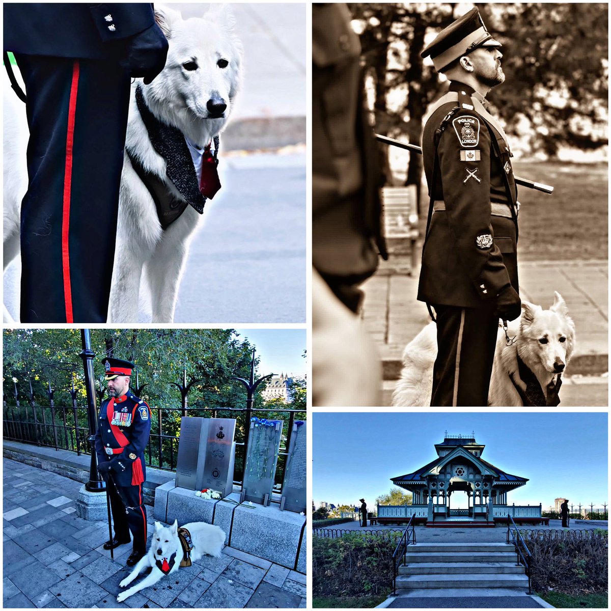 Honored to attend the 47th Canadian Peace/Police Officer Memorial. 🇨🇦🙏 Always a moving tribute to the brave officers who have made the ultimate sacrifice. 

Their courage and dedication to keeping our communities safe will never be forgotten. #HeroesInLife #servicedog