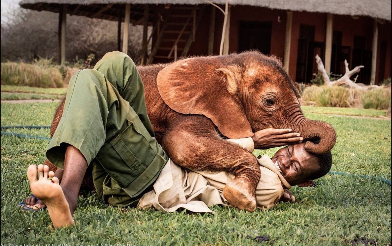 TOTO | Fan Page (@totoctosol) / X