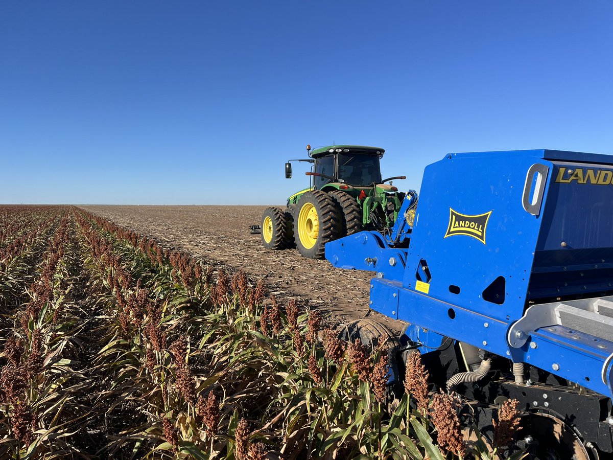 It’s been a few years since I’ve drilled wheat into moisture
