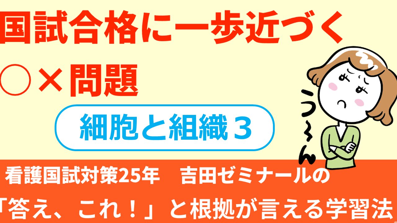看護師国家試験　吉田ゼミナール 看護師国家試験対策 吉田ゼミナール