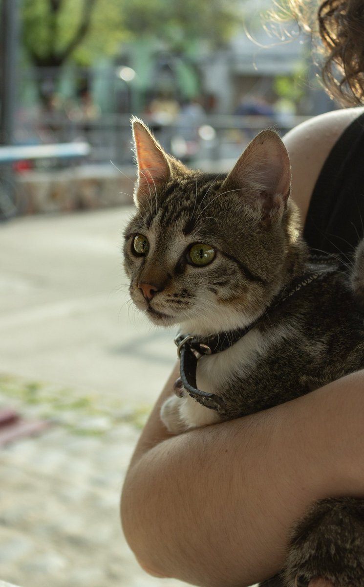 Otro fin de semana en la competencia mas pet friendly del país, este es nuestro público objetivo.