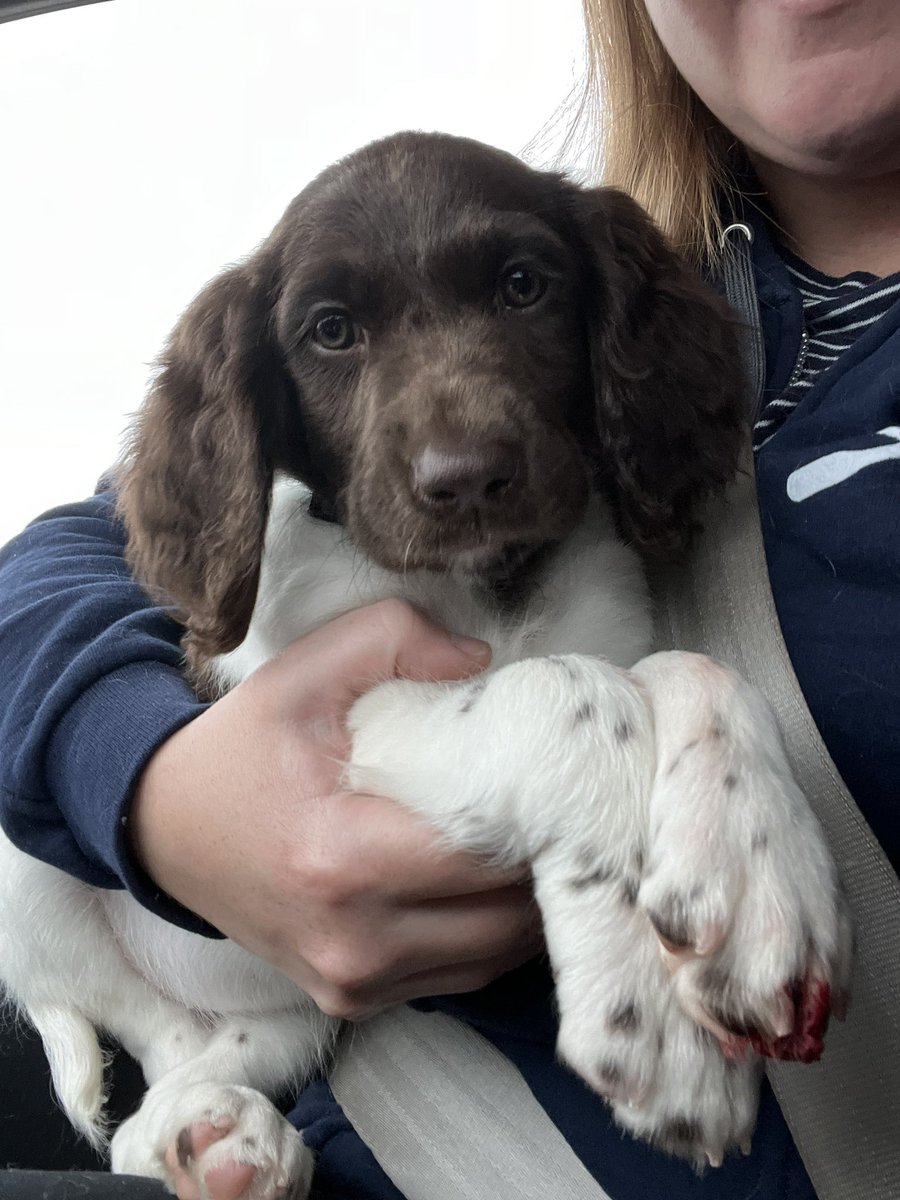 Cecilia Volk tweet media