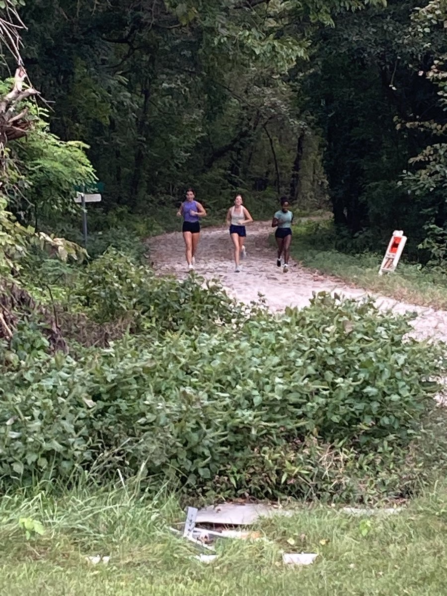 Spoofhound Running tweet media