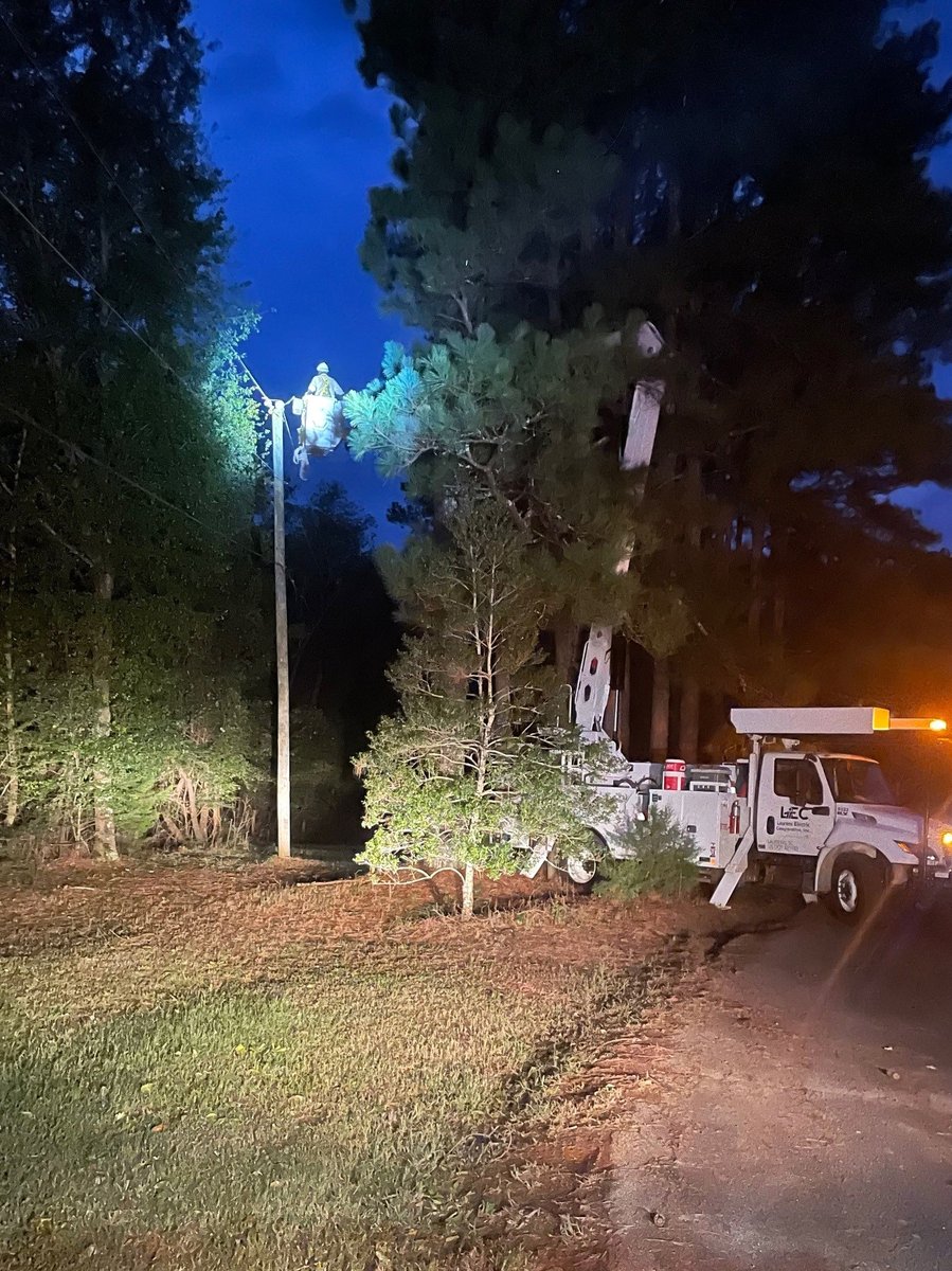 Laurens Electric tweet media