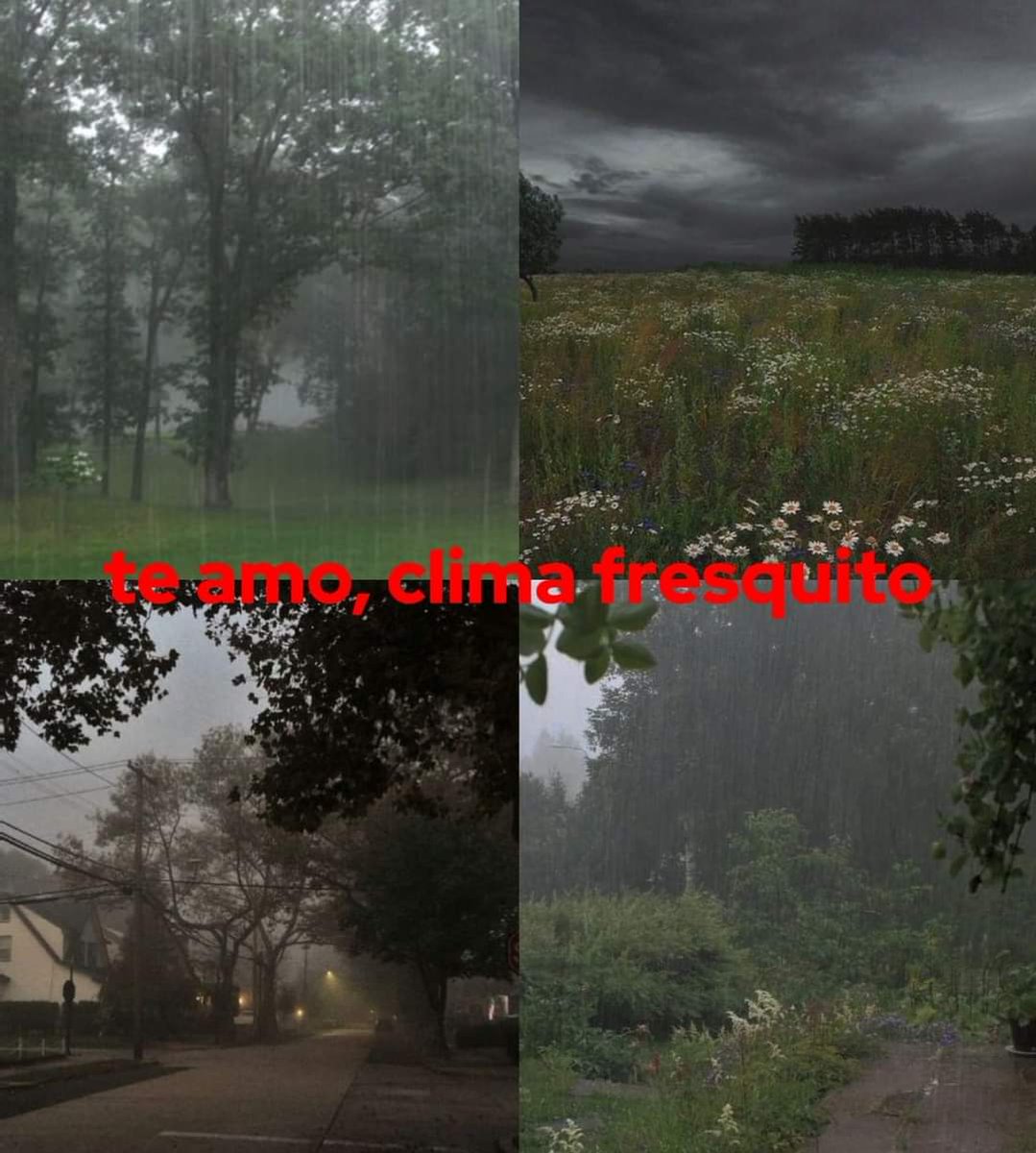 En Júpiter (@en_jupiter_) on Twitter photo 