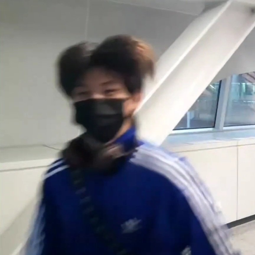 우리집 강아디는 붕방 강아디