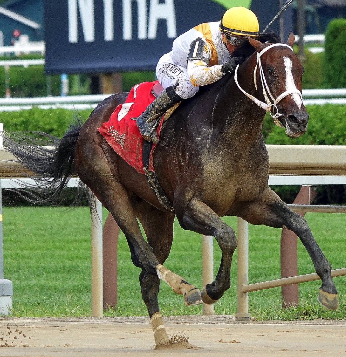 alett15's tweet photo. 🏇 Confirmado…!!!
FEROCIOUS tendrá nuevo jockey en su próxima actuación, el Breeders’ Futurity G1 que se correrá el sábado en @keeneland 
Castellano no está listo para volver y la 2da. opción, @iradortiz montará el mismo día a Tip Top Thomas en el Champagne Stakes G1 en Aqueduct https://t.co/zPtVxOB7vO