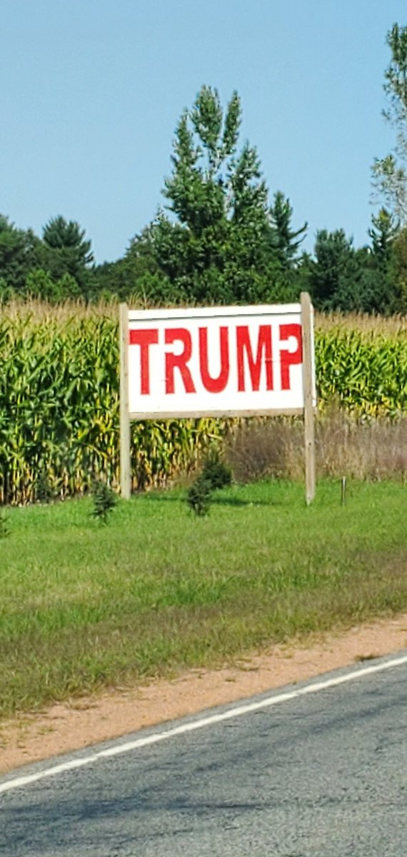 LabarreShi35906's tweet image. I'm super lucky to be on such a great team, so many committed individuals for #TrumpForce47, it makes the days fun! Love meeting enthused voters, passionate and ready for change!! They want #secureborder #lowertaxes #lesscrime
They want #Trump2024Vance