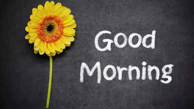 A butterfly always reminds that there is always beauty at the end of all the pain.
Good morning everyone 🌞🌅 

#yrkkh #BB26 #Bbnaija #Bbnaijas9 #Number_i_LIVETOUR #abhimaan