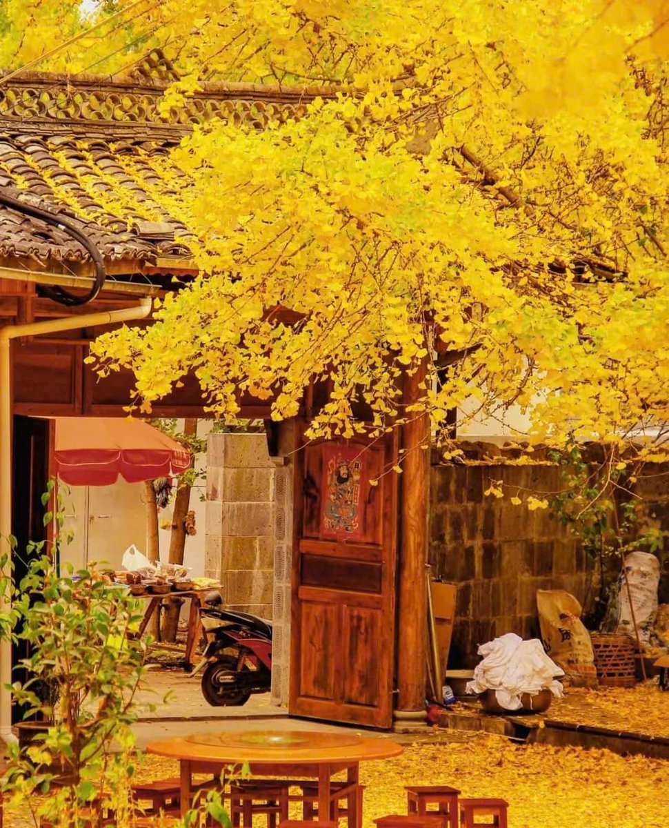 Dungpika⚡️💜π tweet media