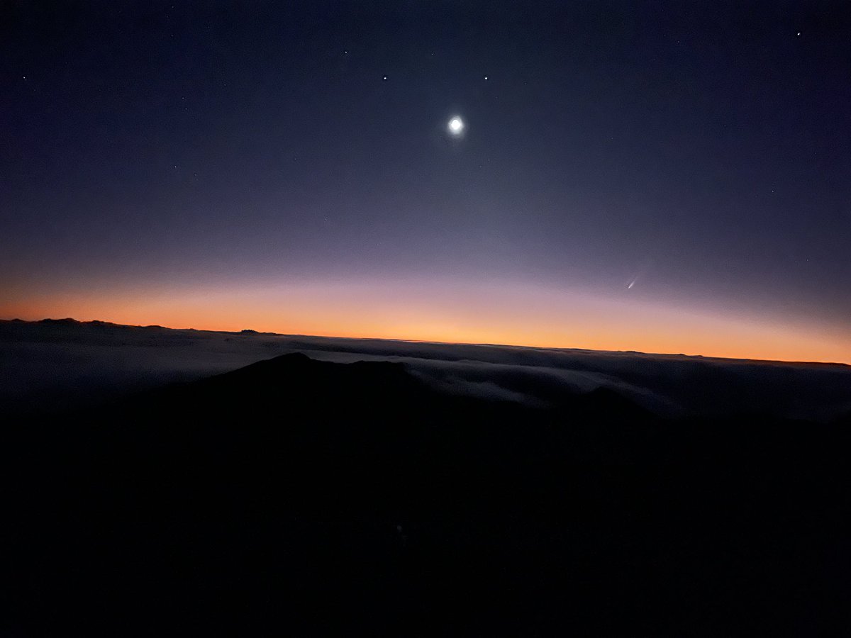 Sam Christie tweet media