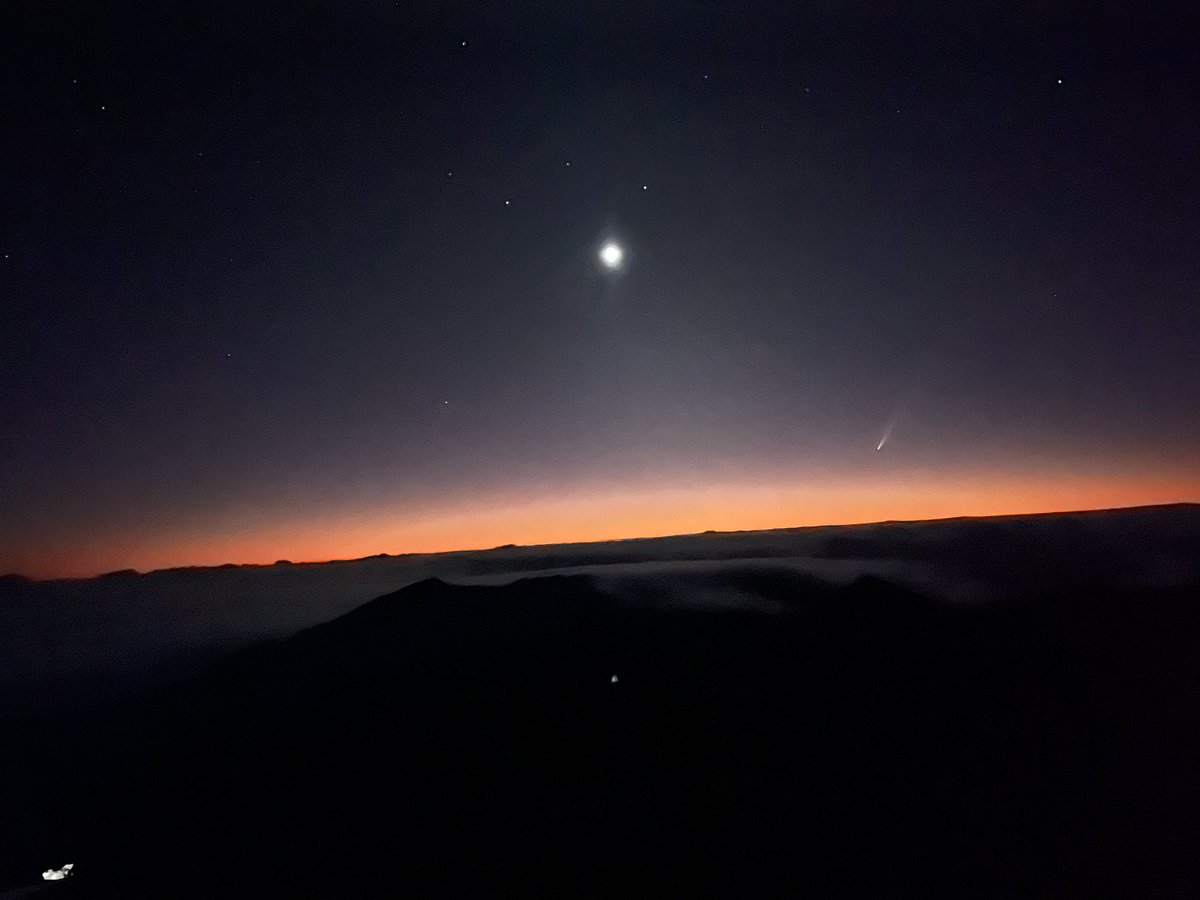 Sam Christie tweet media