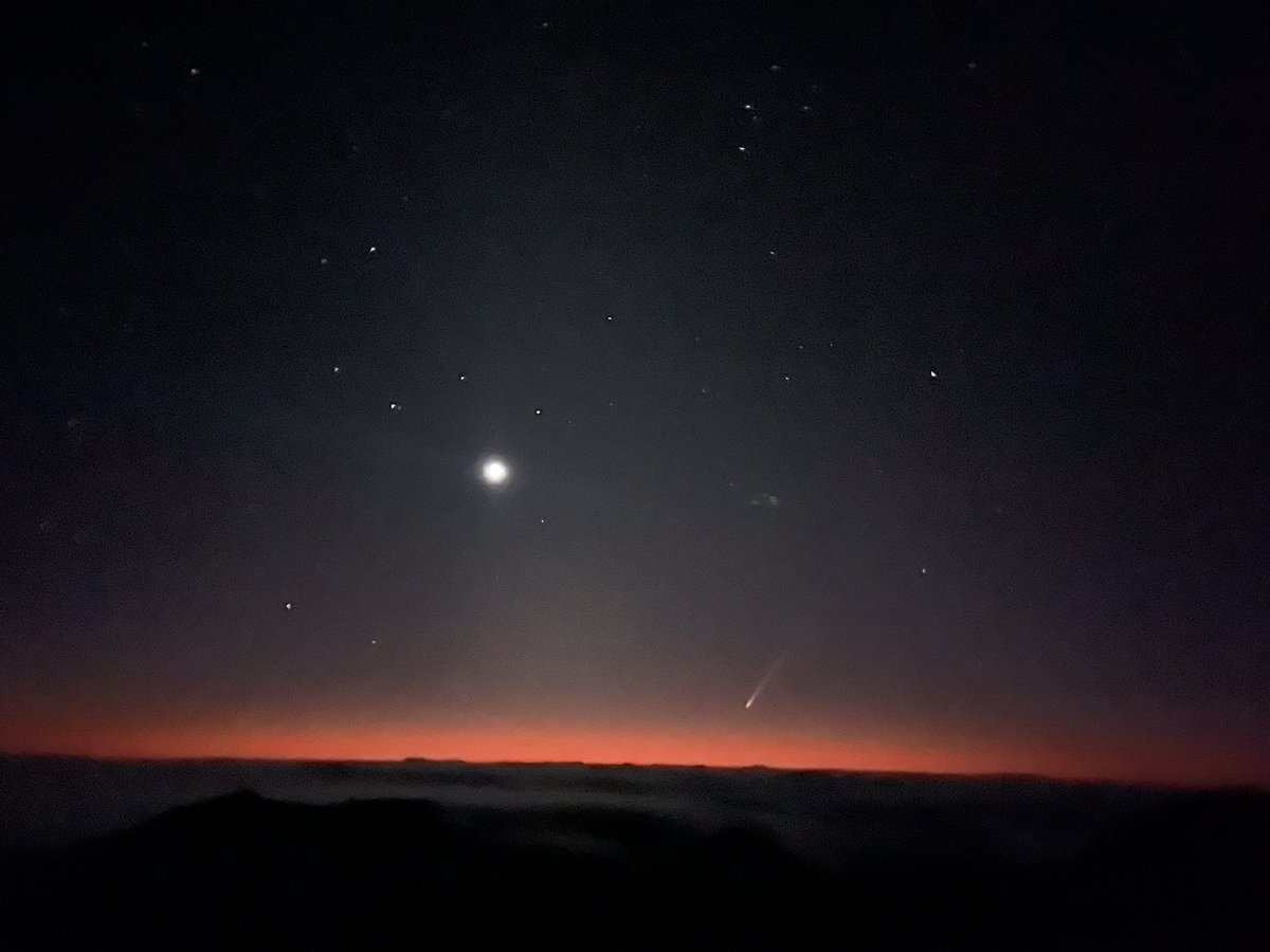 Sam Christie tweet media